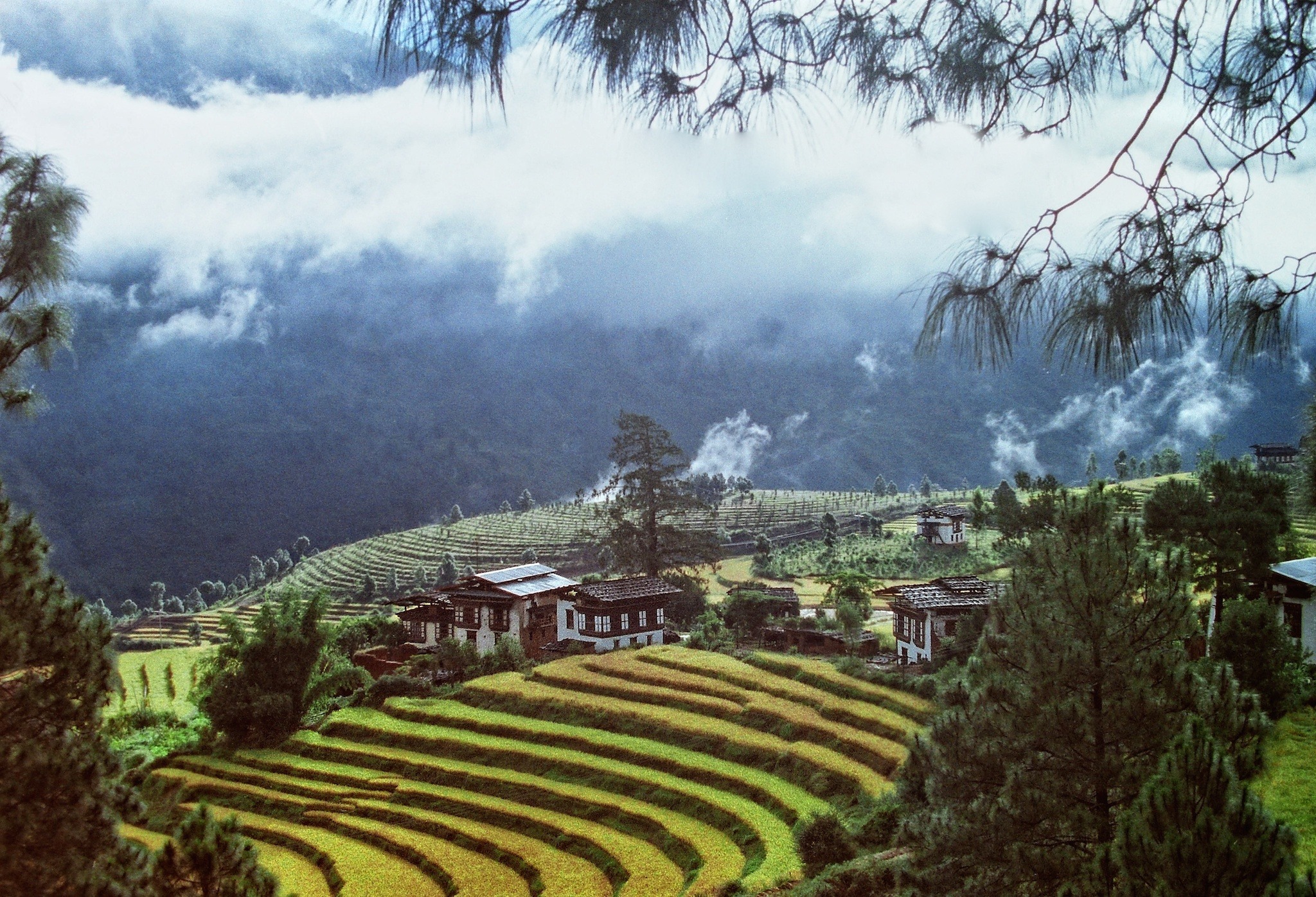 Journey Through Bhutan 6