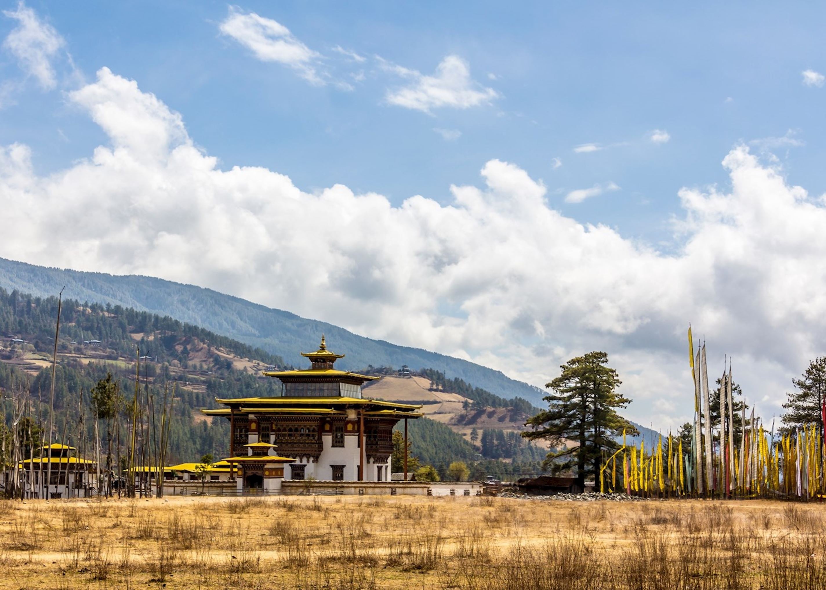 Journey Through Bhutan 14
