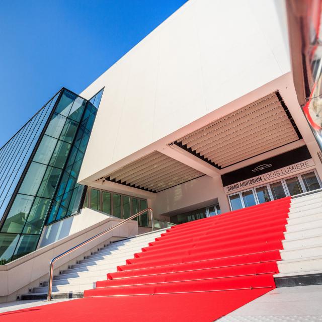 Cannes Film Festival gallery 1