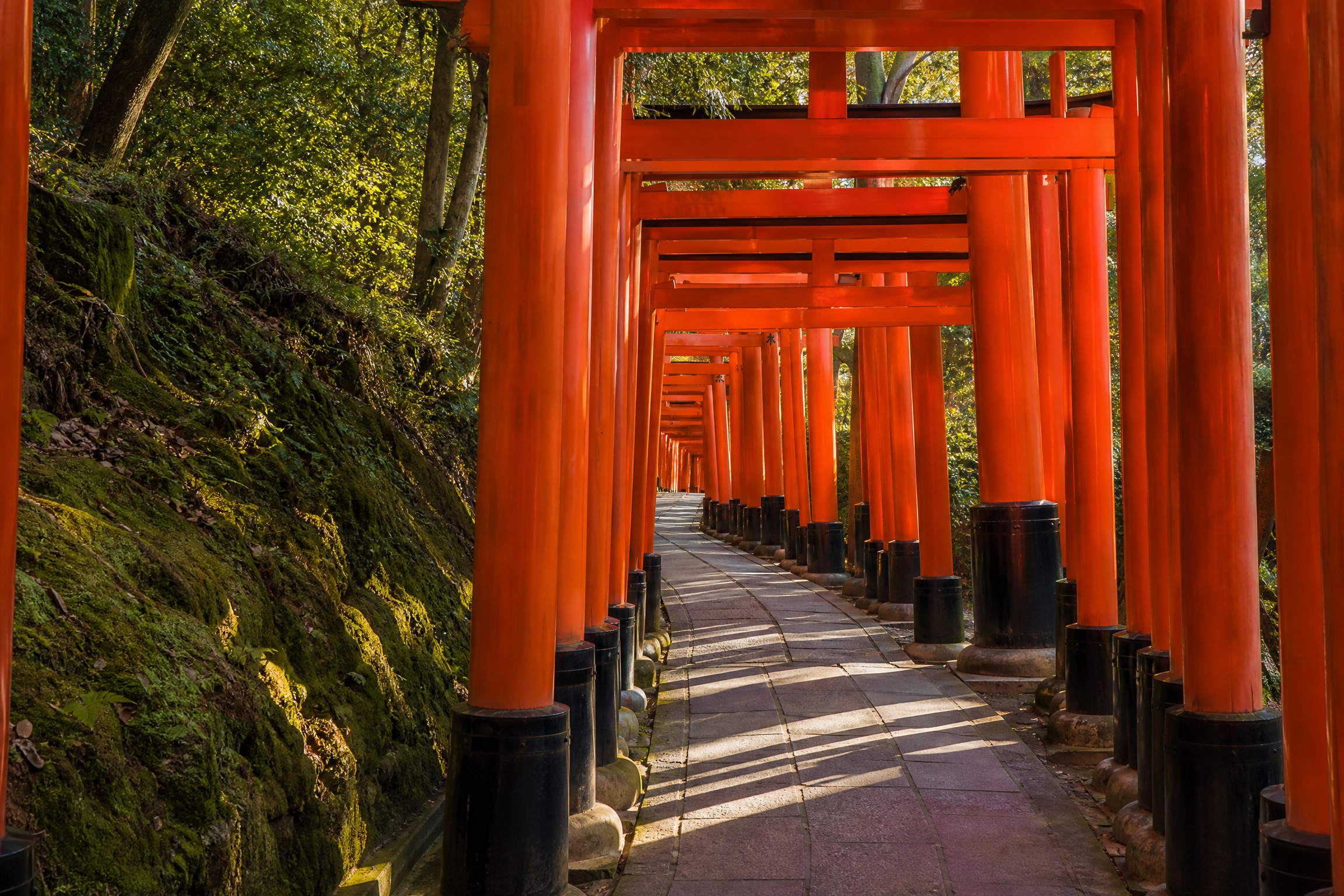Japan Cultural Immersion