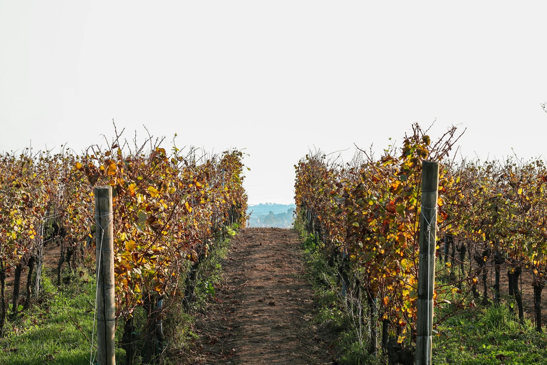 New Zealand: Lodges, Landscapes & Wine 15