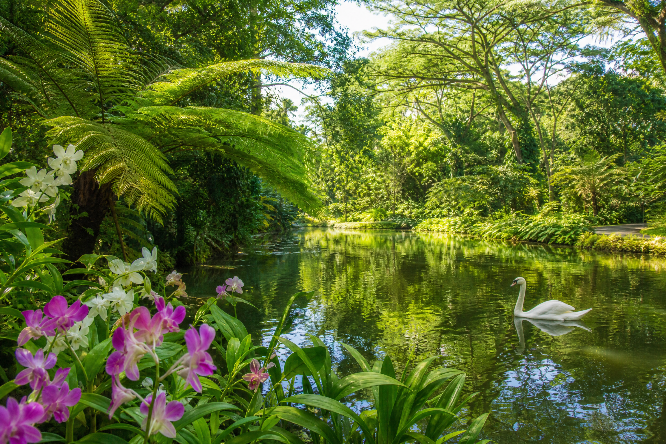 Singapore: Food & Culture Tour 8