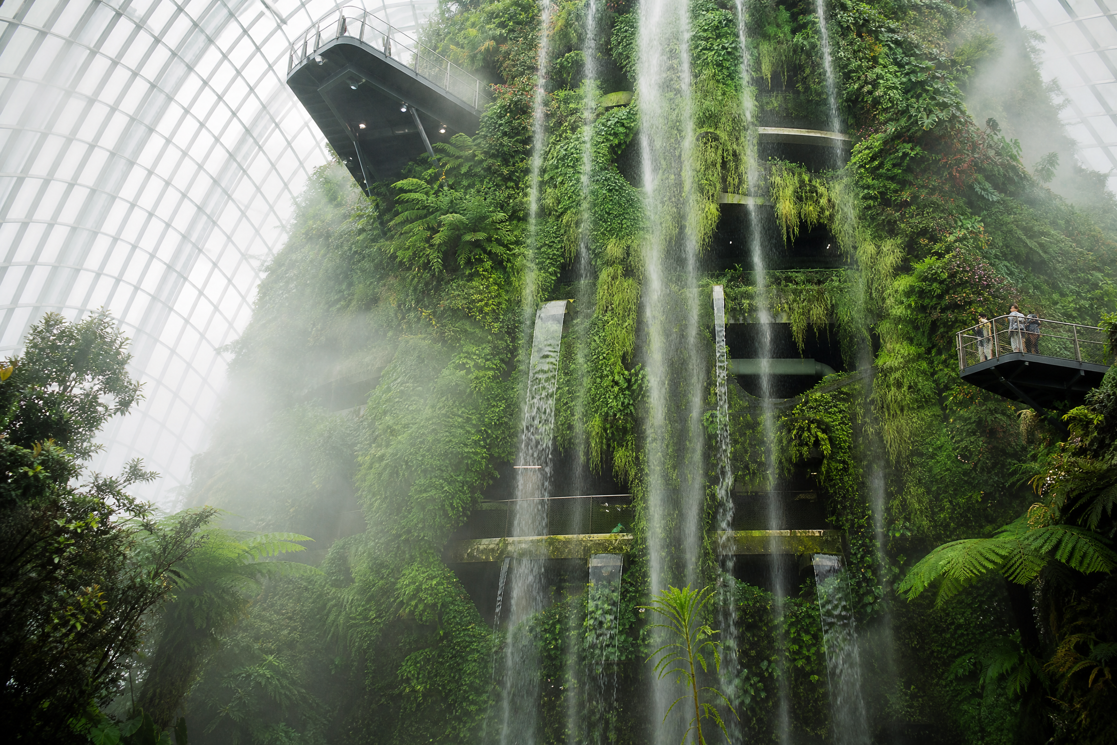 Singapore: Food & Culture Tour 16
