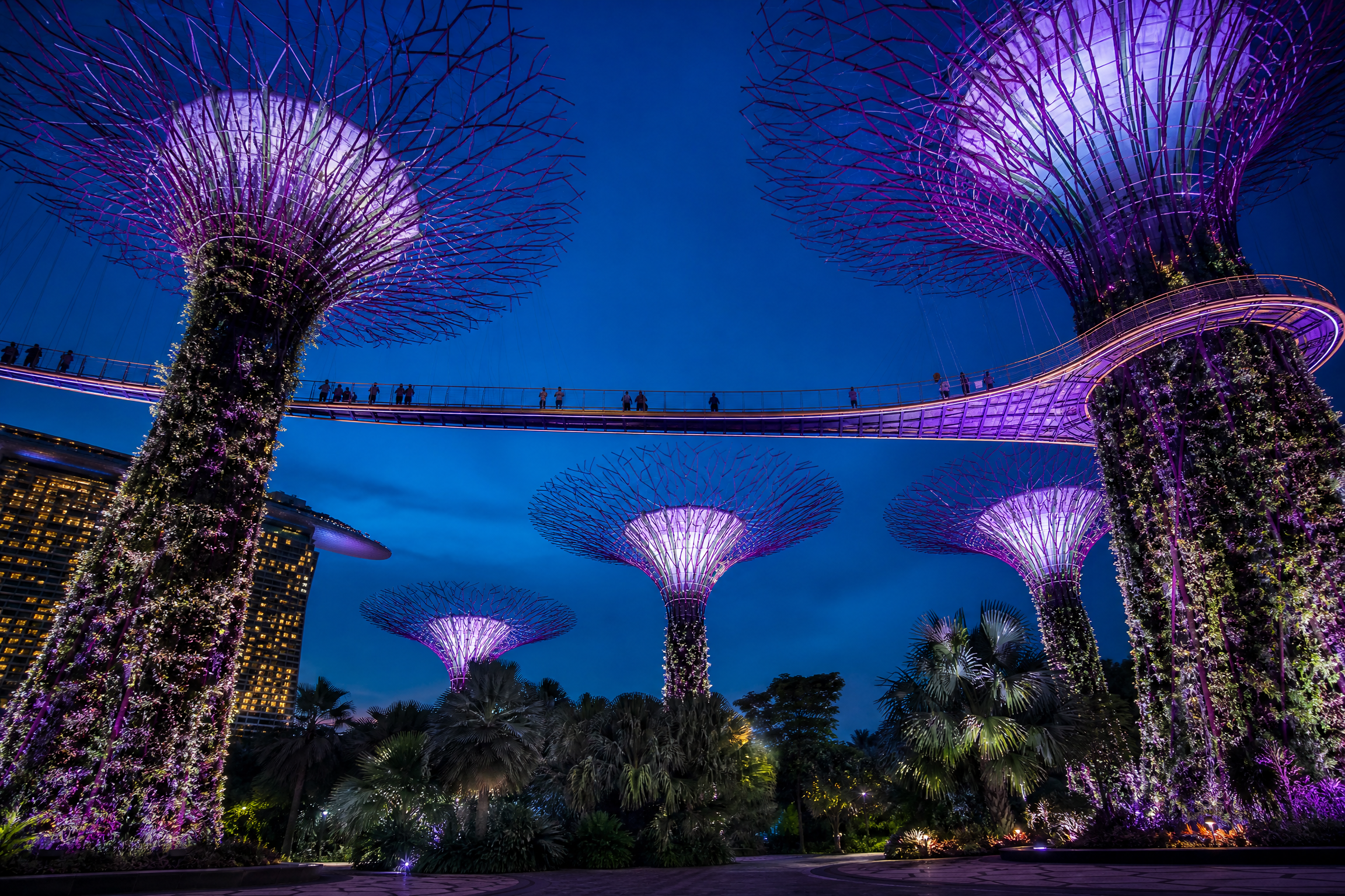 Singapore: Food & Culture Tour 1
