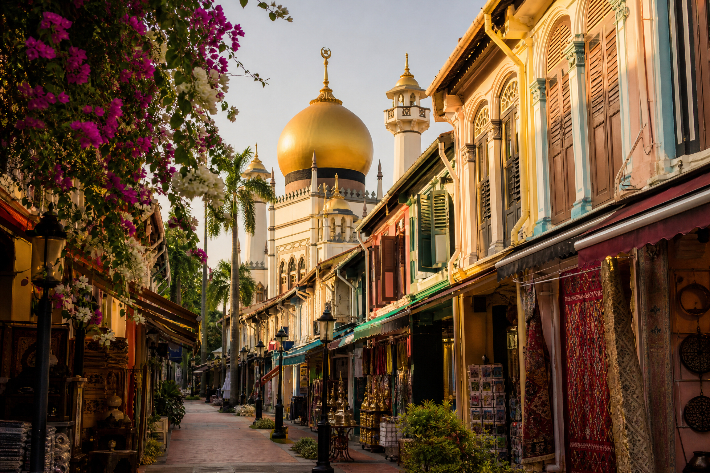 Singapore: Food & Culture Tour 6